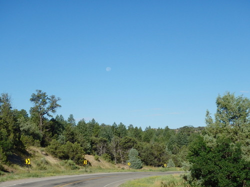 GDMBR: Westbound on NM-96.